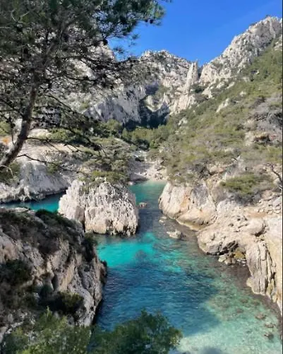 Le Mehari Apartament